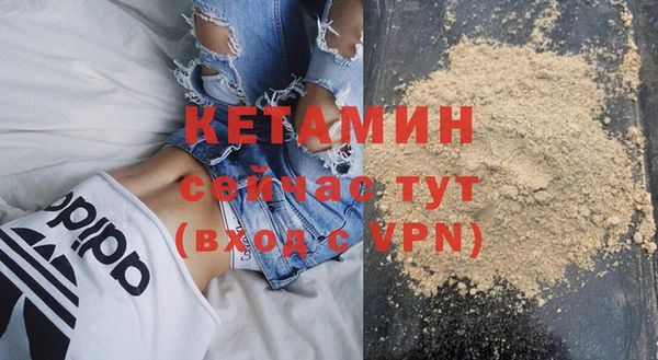 стаф Аркадак