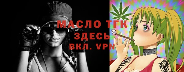стаф Аркадак