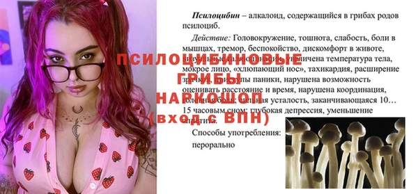 стаф Аркадак