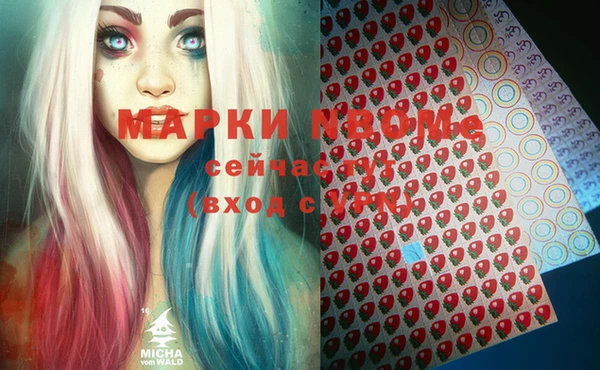 стаф Аркадак
