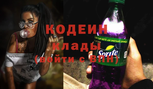 стаф Аркадак