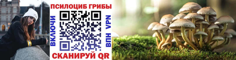 где найти   Петухово  Галлюциногенные грибы Magic Shrooms 
